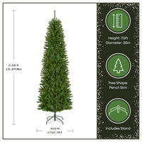 7.5 ft. Kingswood Fir Pencil Tree - National Tree Company