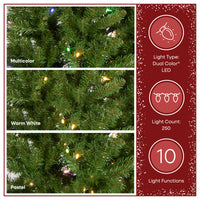 7 ft. Pre-Lit Kingswood Fir Pencil Slim Hinged Tree with Power Connect Dual Color LED Lights - National Tree Company