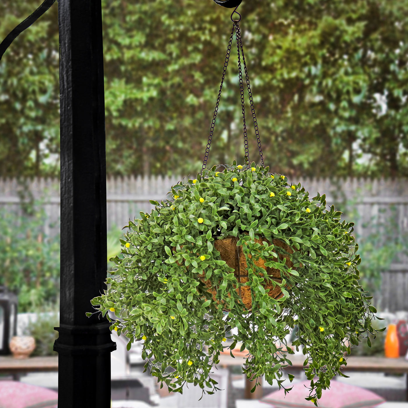 plants hanging from trees 18 in. Spring Argentea Hanging Plant with Yellow Flowers