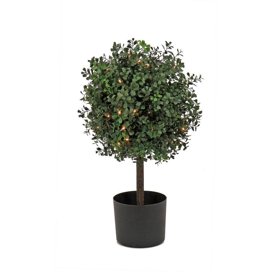 24 in. Pre-Lit Boxwood Single Ball Topiary in Black Nursery Pot with Clear Lights - National Tree Company