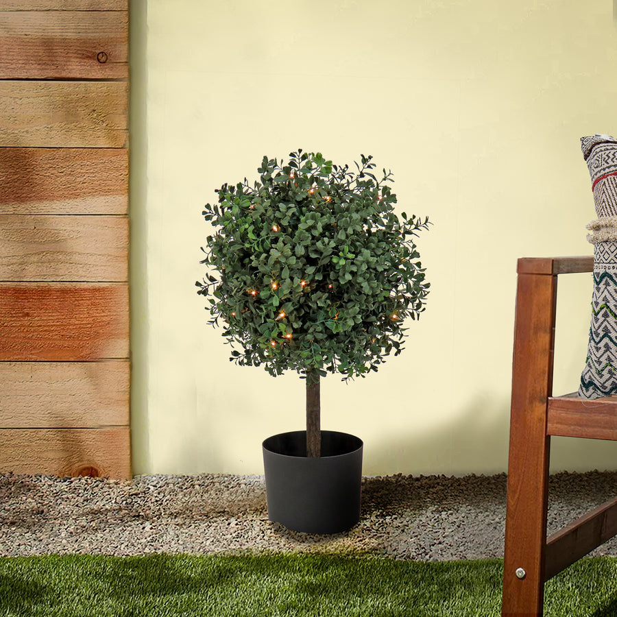 2 ft. Pre-Lit Boxwood Single Ball Topiary in Black Nursery Pot with Clear Lights