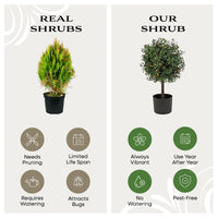 24 in. Pre-Lit Boxwood Single Ball Topiary in Black Nursery Pot with Clear Lights - National Tree Company