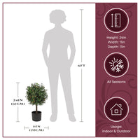 24 in. Pre-Lit Boxwood Single Ball Topiary in Black Nursery Pot with Clear Lights - National Tree Company