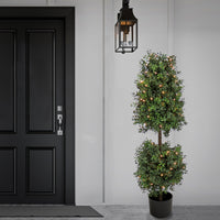 4 ft. Pre-Lit Boxwood Cone and Ball Topiary in Black Nursery Pot with Clear Lights - National Tree Company