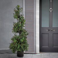 4 ft. Pre-Lit Boxwood Spiral Topiary in Black Nursery Pot with Clear Lights - National Tree Company