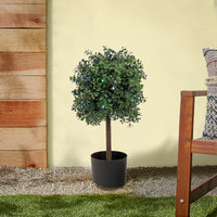 2 ft. Boxwood Single Ball Topiary with Multi-Function LED Lights - National Tree Company