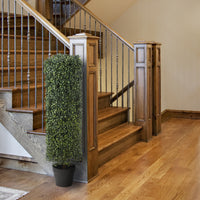 36" Boxwood Column Topiary - National Tree Company