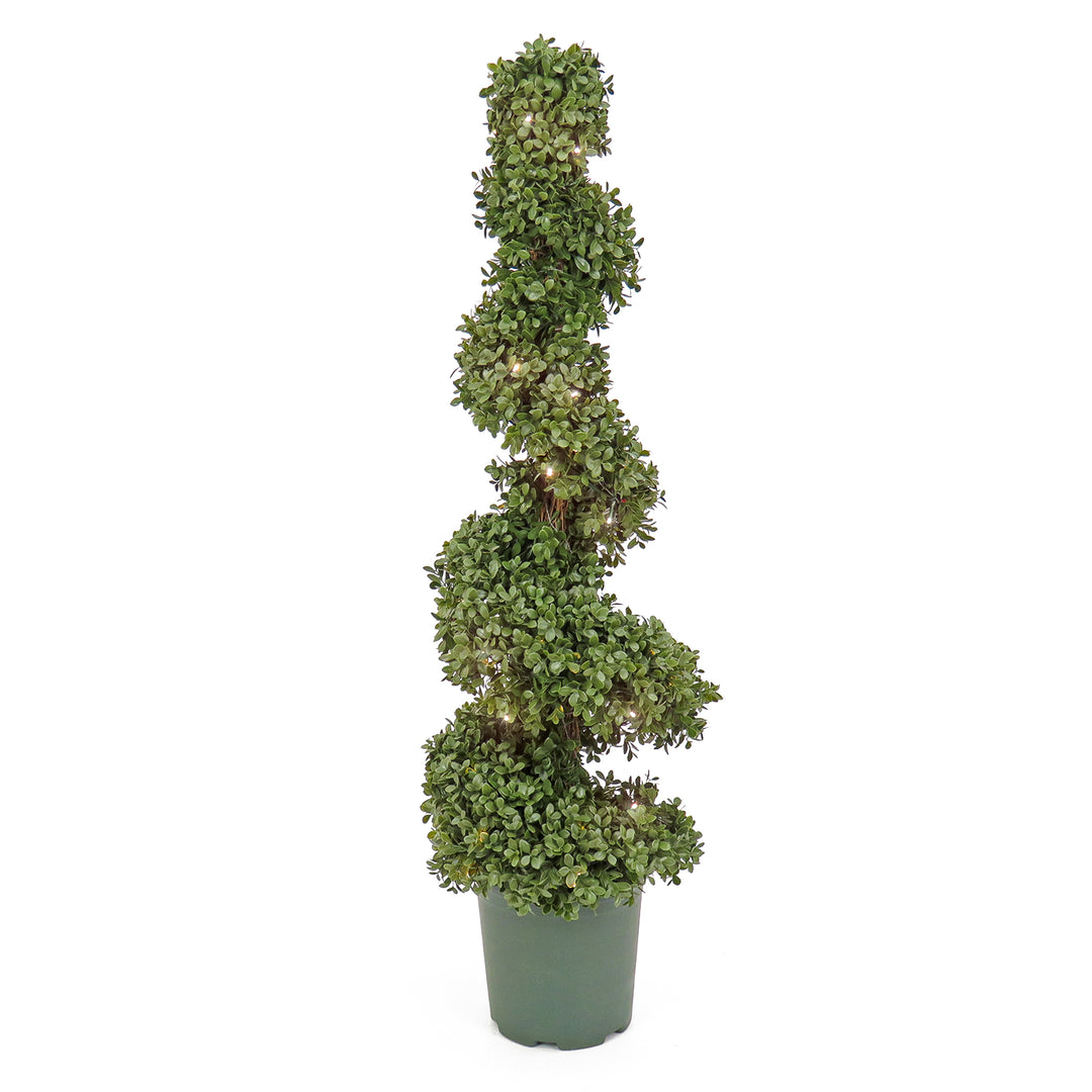 44" Pre-Lit Artificial Boxwood Spiral Topiary