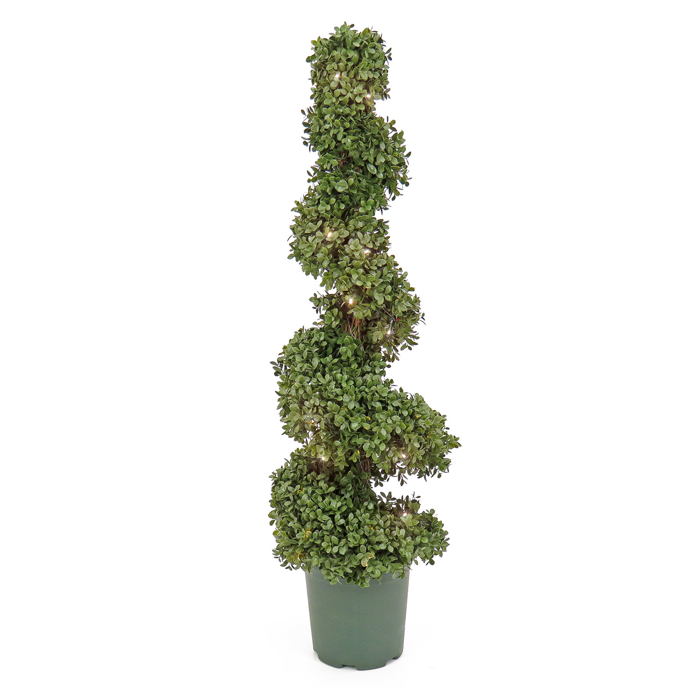 44" Pre-Lit Artificial Boxwood Spiral Topiary - National Tree Company