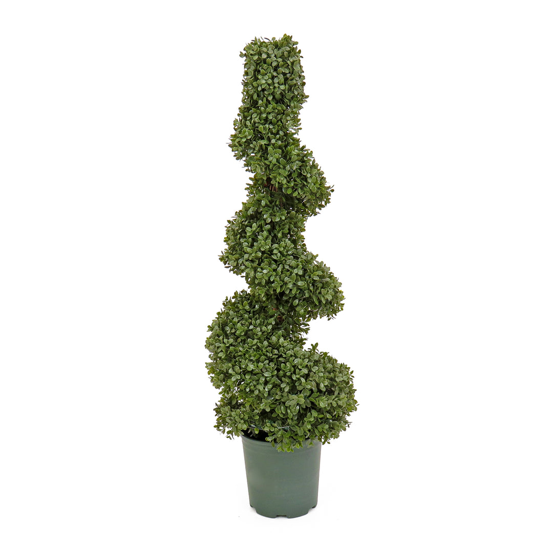 44" Artificial Boxwood Spiral Topiary