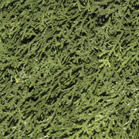 30 in. Artificial Upright Juniper in Growers Pot - National Tree Company