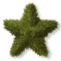 36 in. Juniper Star Wreath - National Tree Company