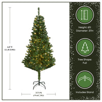 6 ft. Pre-Lit Linden Spruce Tree with Warm White LED Lights - National Tree Company