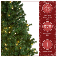 6 ft. Pre-Lit Linden Spruce Tree with Warm White LED Lights - National Tree Company