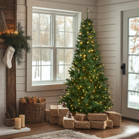7.5 ft. Pre-Lit Linden Spruce Tree with Warm White LED Lights - National Tree Company