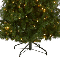 7.5 ft. Pre-Lit Leigh Valley Slim Tree with Dual Color LED Lights - National Tree Company