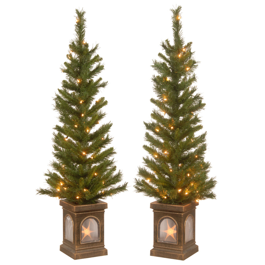 4 ft. Pre-Lit Leigh Valley Tree Set with Clear Lights - National Tree Company