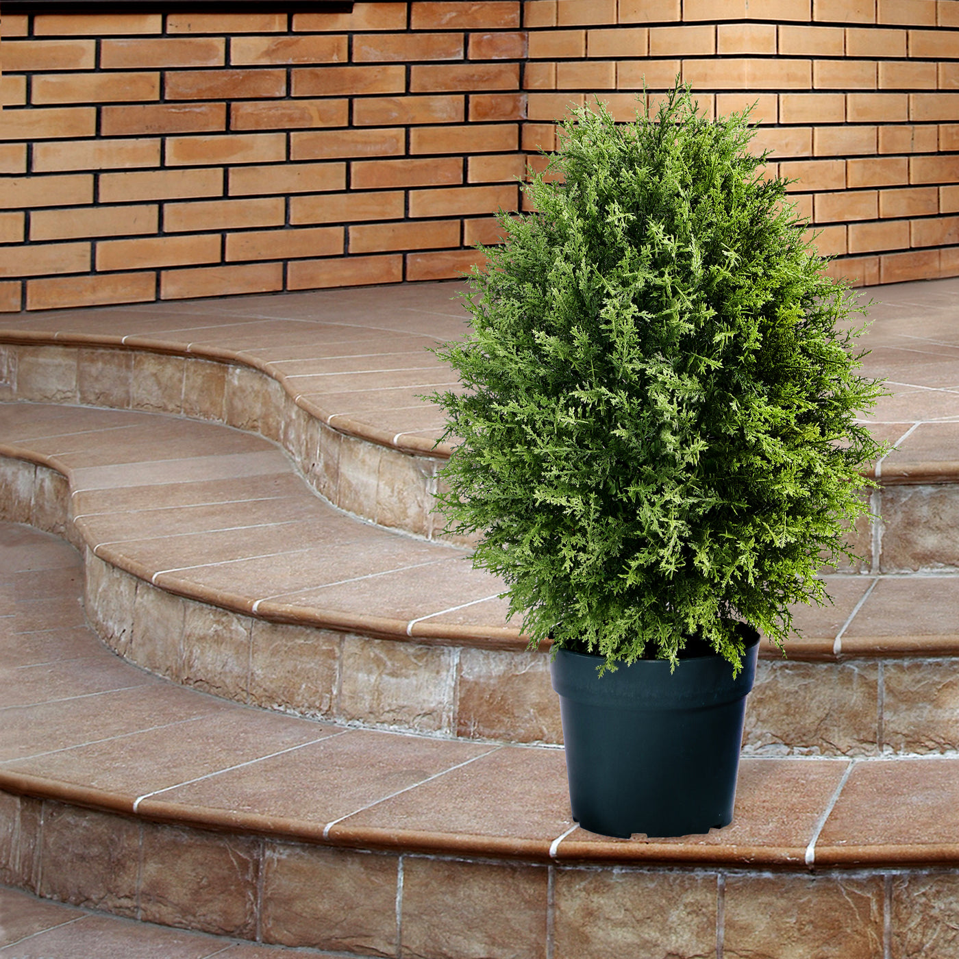 26" Artificial Cypress Tree in Growers Pot - National Tree Company