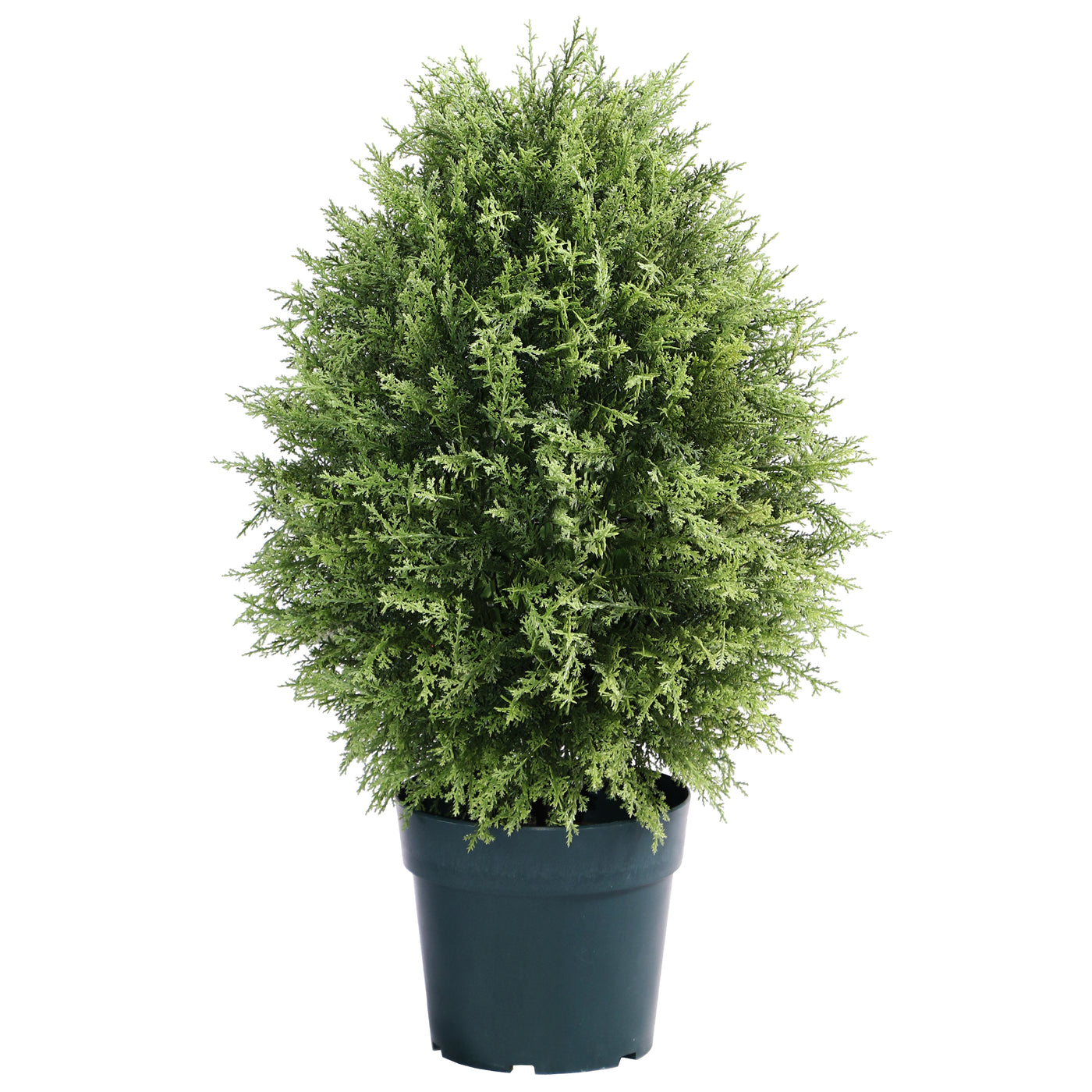 Artificial Mini Tree Decoration, Cypress, Includes Green Pot Base, Spring Collection, 32 Inches - National Tree Company