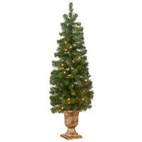 4 ft. Pre-Lit Montclair Spruce Entrance Tree with Clear Lights, Plug-In - National Tree Company