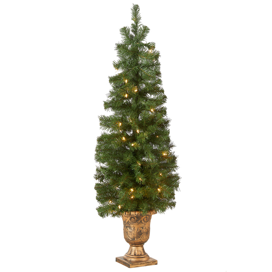 4 ft. Pre-Lit Montclair Spruce Entrance Tree with Clear Lights, Plug-In - National Tree Company