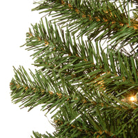 4 ft. Pre-Lit Montclair Spruce Tree with Clear Lights, Plug-In - National Tree Company