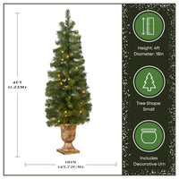 4 ft. Pre-Lit Montclair Spruce Entrance Tree with Clear Lights, Plug-In - National Tree Company