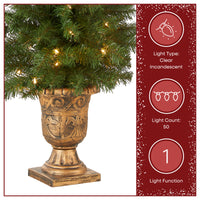 4 ft. Pre-Lit Montclair Spruce Entrance Tree with Clear Lights, Plug-In - National Tree Company