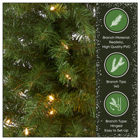 4 ft. Pre-Lit Montclair Spruce Entrance Tree with Clear Lights, Plug-In - National Tree Company