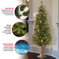 4 ft. Pre-Lit Montclair Spruce Tree with Clear Lights, Plug-In - National Tree Company