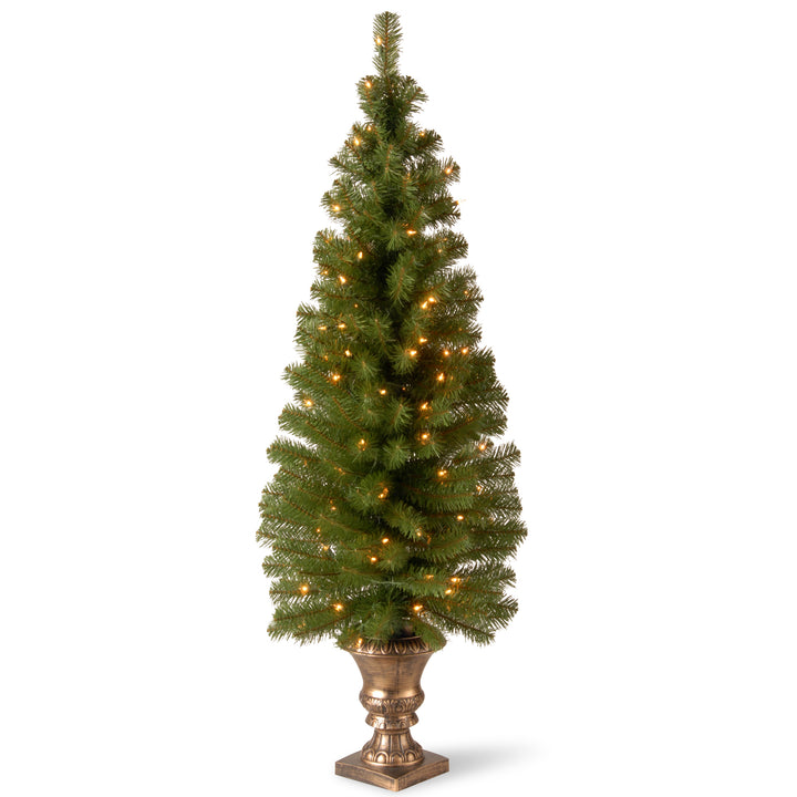 5 ft. Montclair Spruce Entrance Tree with Clear Lights