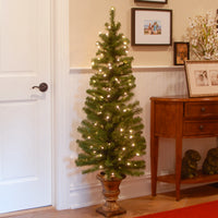 5 ft. Pre-Lit Montclair Spruce Tree with Clear Lights - National Tree Company