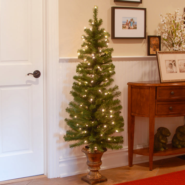 5 ft. Montclair Spruce Entrance Tree with Clear Lights