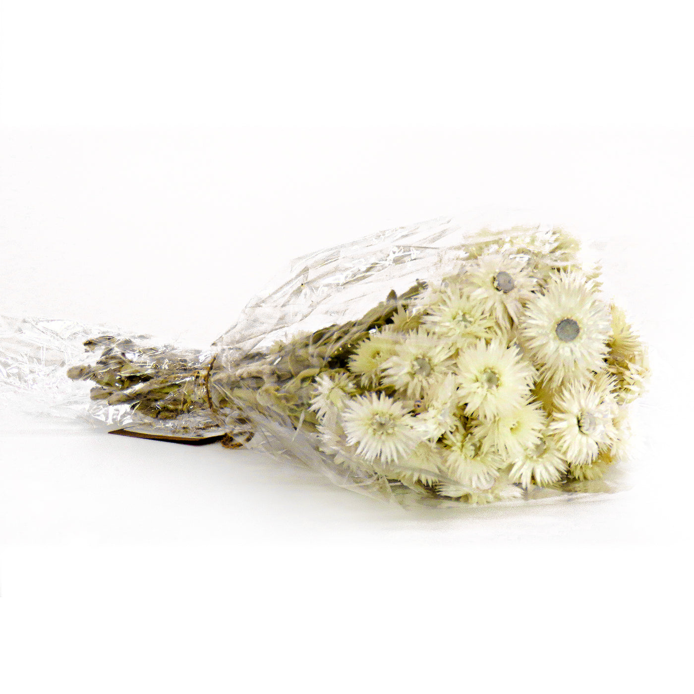 16 in. Spring Dried Natural Capeblumen Flowers Bouquet - National Tree Company