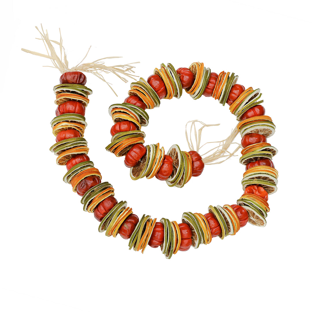 National Tree Company 4' Dried Citrus and Tomato Garland