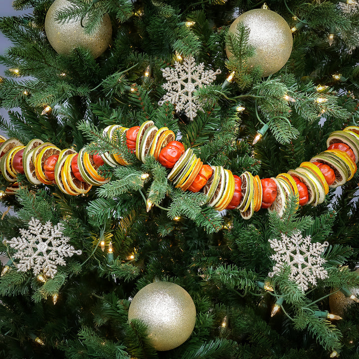National Tree Company 4' Dried Citrus and Tomato Garland