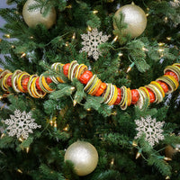 National Tree Company 4' Dried Citrus and Tomato Garland - National Tree Company