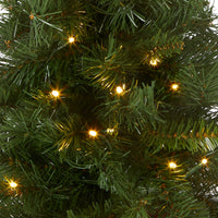 2 ft. Pre-Lit Majestic Fir Tree with LED Lights, Red Base - National Tree Company