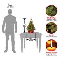 2 ft. Pre-Lit Majestic Fir Tree with Multicolor LED Lights, Red Base - National Tree Company