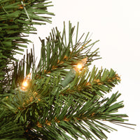 2 ft. Pre-Lit Majestic Fir Tree with Clear Lights, Gold Base, Plug-In - National Tree Company