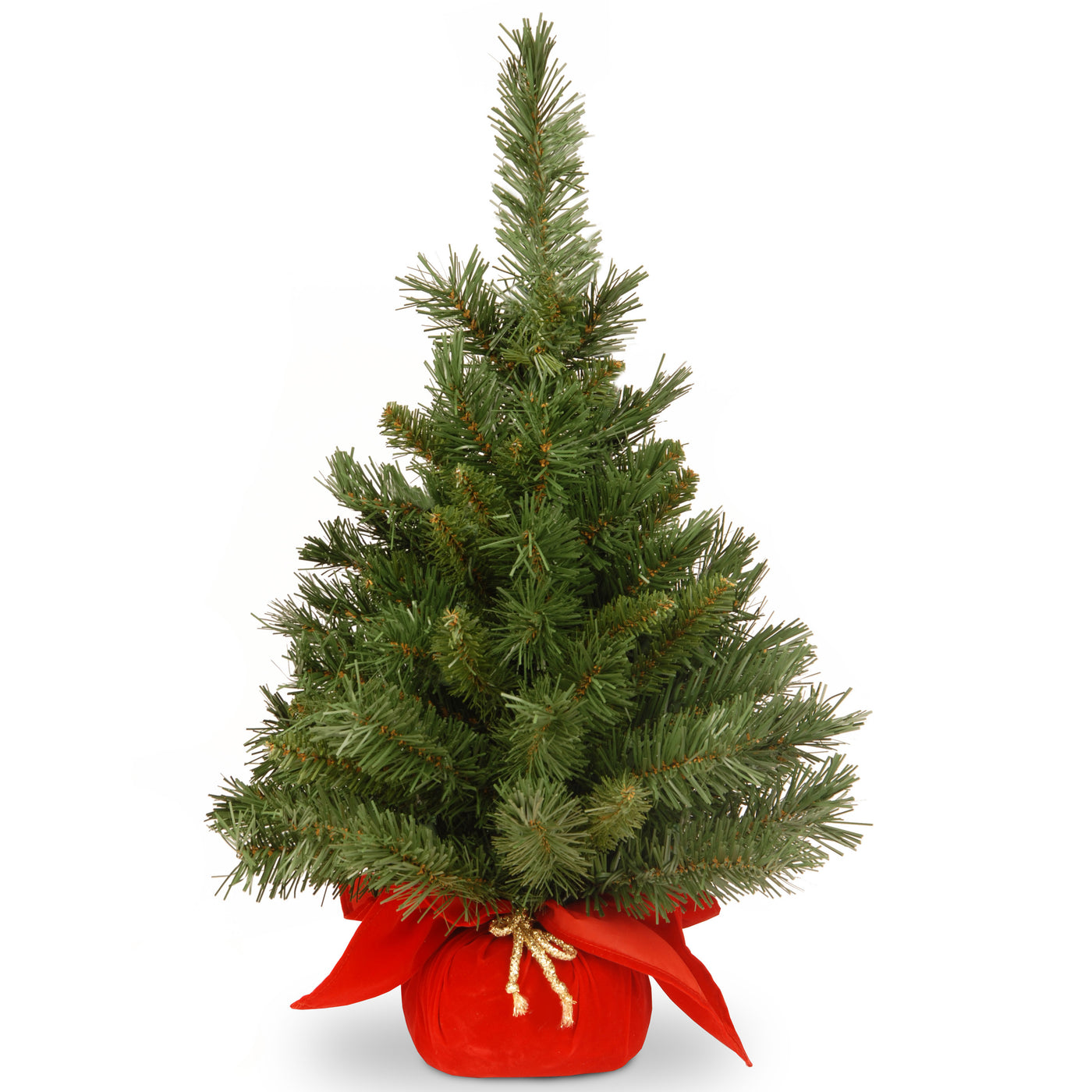 24 in. Majestic Fir Tree - National Tree Company