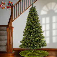 7 ft. Pre-Lit Maine Pine Tree with LED Lights - National Tree Company