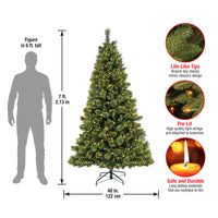 7 ft. Pre-Lit Maine Pine Tree with LED Lights - National Tree Company