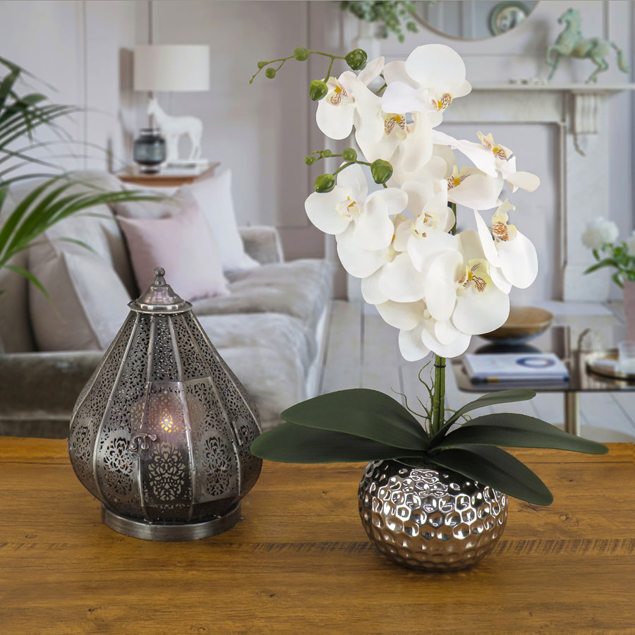 21 in. Spring White Orchid in Silver Smooth Ceramic Pot