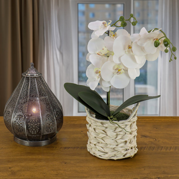 21" White Orchid Flower in White Basket