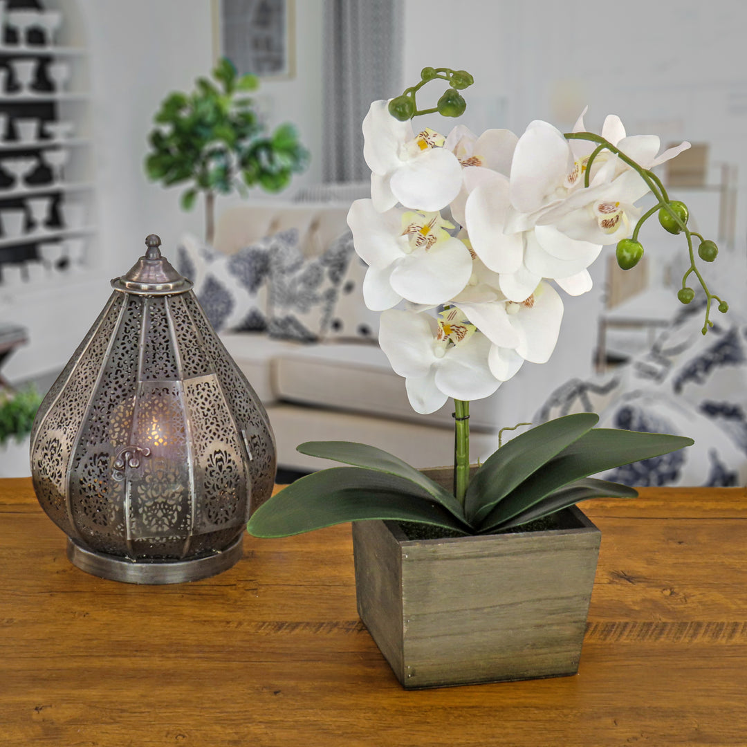 21" White Orchid Flower in Wood Box