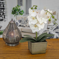 21" White Orchid Flower in Wood Box - National Tree Company