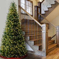 10ft. Pre-Lit Natural Fraser Slim Fir Tree with Clear Lights - National Tree Company