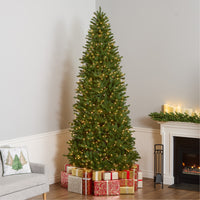 10 ft. Pre-Lit Natural Fraser Slim Fir Tree with Clear Lights - National Tree Company