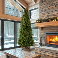 10 ft. Pre-Lit Natural Fraser Slim Fir Tree with Clear Lights - National Tree Company